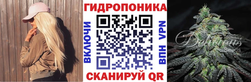 Где купить Каргополь ГАШ  А ПВП  Меф мяу мяу 