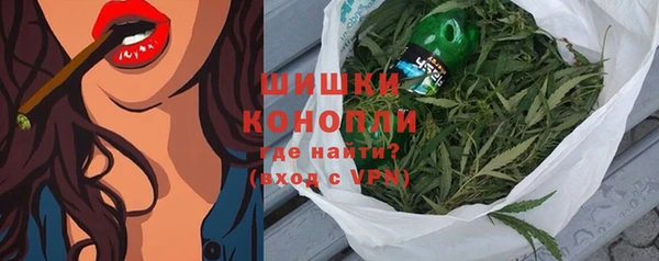 индика Михайлов