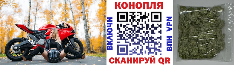 купить наркотики сайты ОМГ ОМГ Бошки Шишки планчик Каргополь